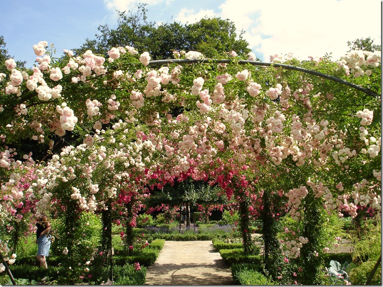 Zaterdag 15 juli2006 009