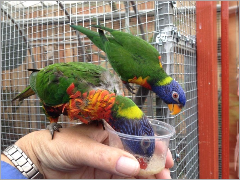 69183_4279095167971_1475877924_n