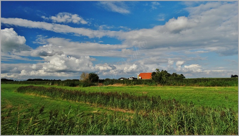 DSC07140