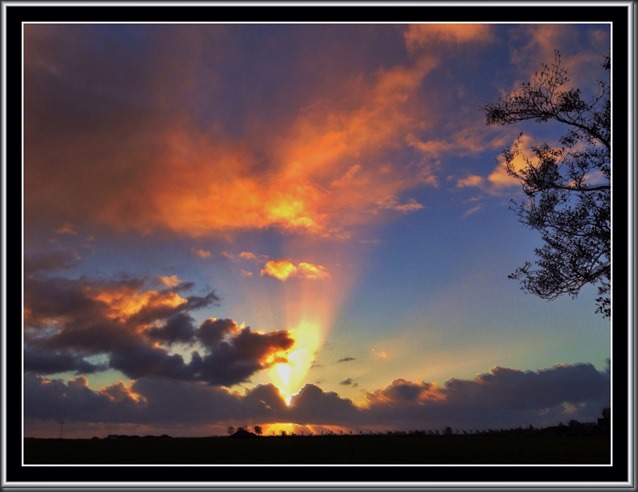 20140414_181418000_iOS (1)