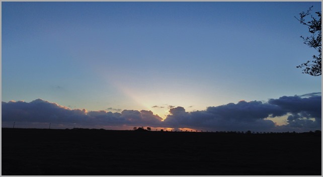 20140414_181916811_iOS