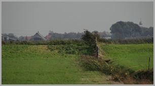DSC09736