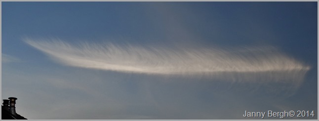 DSC05696