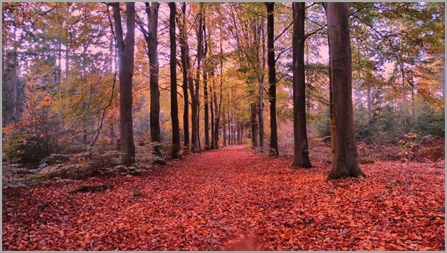 DSC06100