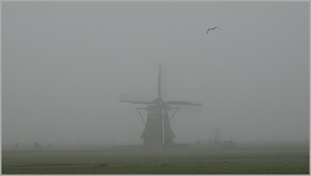 DSC01105