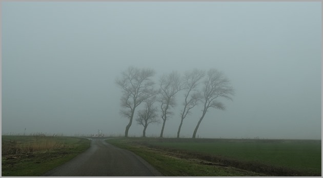 DSC01160