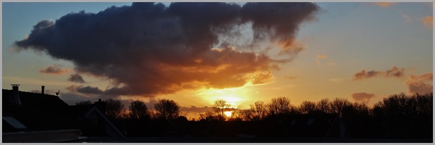 DSC02568