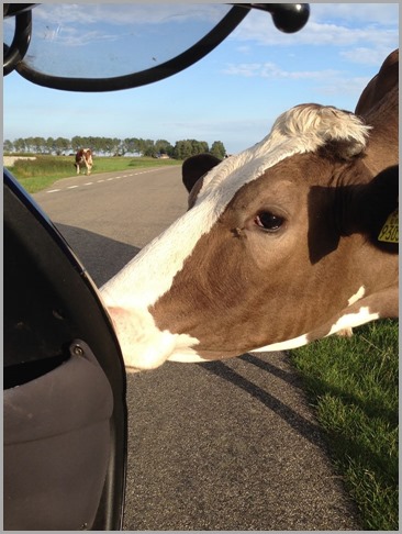 11846647_730636540403736_7414127555954590573_n