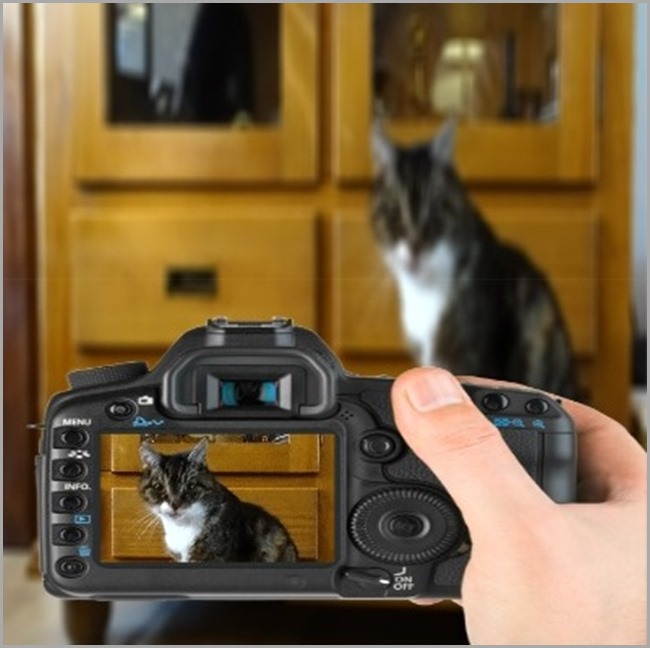 capture1-19-2016_50327_PM