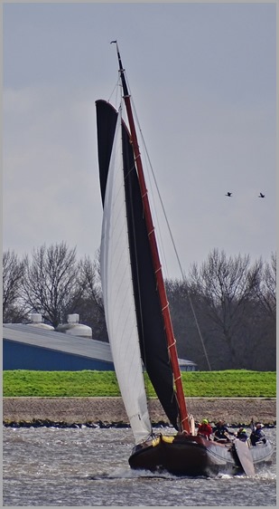 DSC01260
