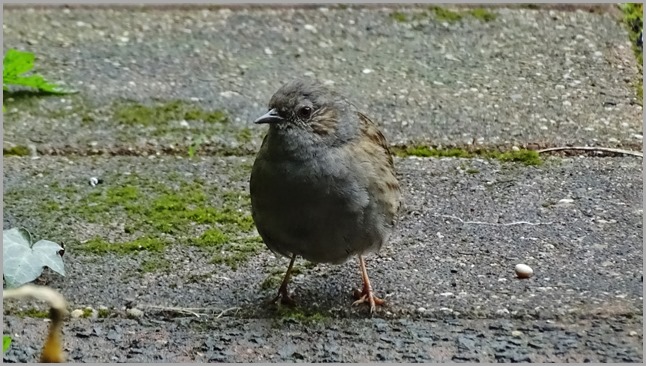DSC02798