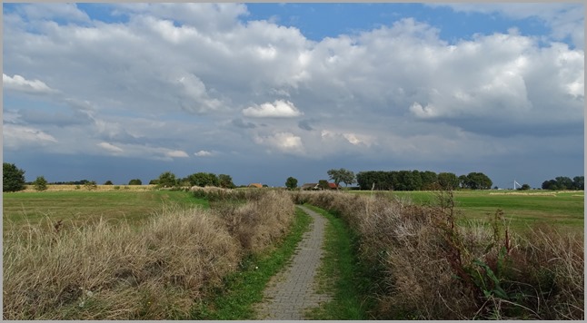 DSC00939