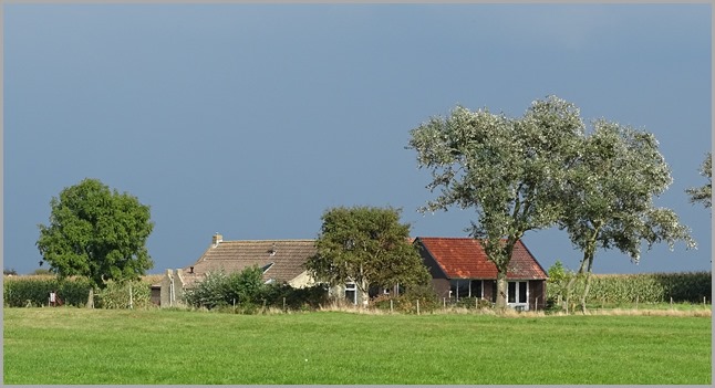 DSC00945