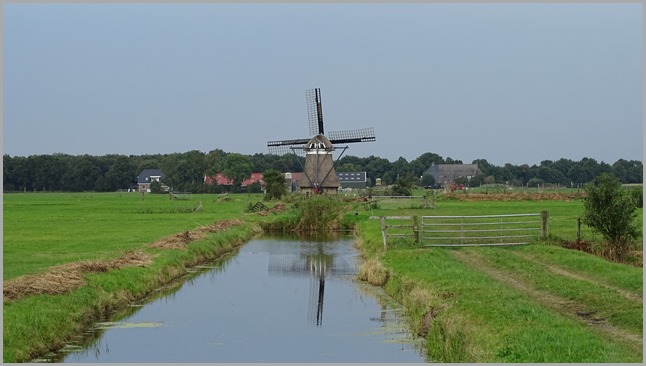 DSC00967