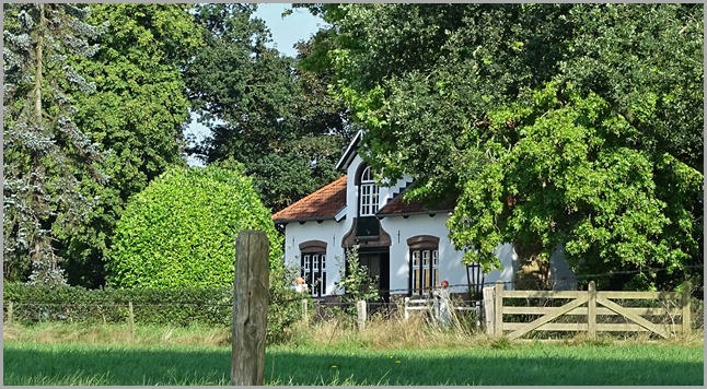 DSC09900
