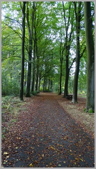 DSC00063
