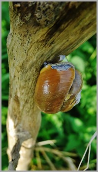 DSC00119