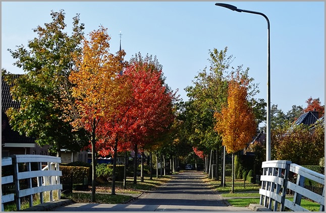 DSC00224