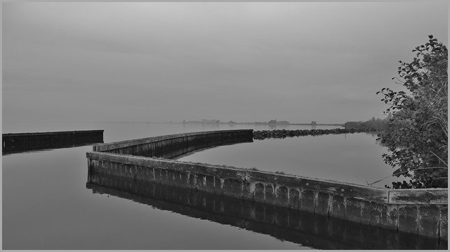 DSC00444