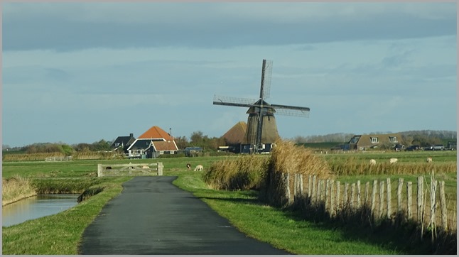 DSC01005